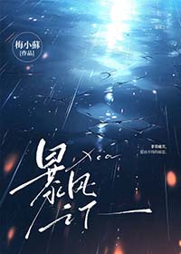 暴风之影没有拆解自爆吗